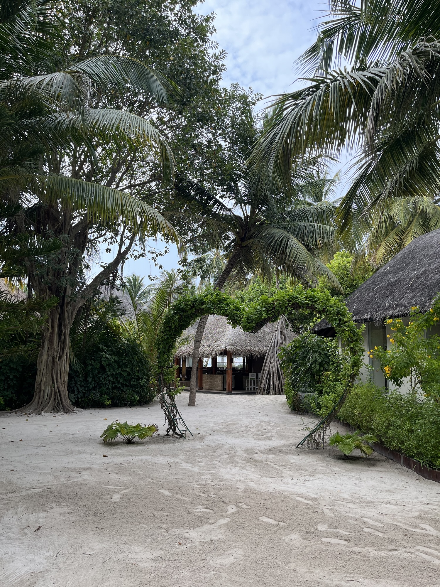 Leaving the Maldives
